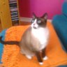 Profilbild von Motown