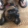 jayhawksnow123's profile picture