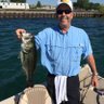 Dave Denike✭'s profile picture
