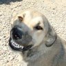 Актау profil fotoğrafı