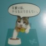 Фото профиля アレックス