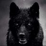 Profilbild von Miguel...