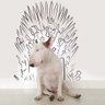 Profilbild von FionaStark