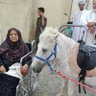 الشقصي لحل المستعصي 的头像