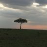 Фото профиля Eng. Emamba