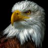 S&W's profile picture
