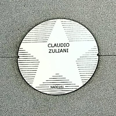 Claudio Zuliani's profile picture