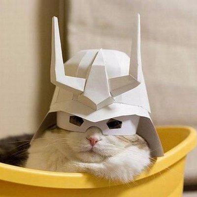 barbarossa0909's profile picture