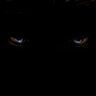 good night&good luck @lovesthenight.bsky.social's profile picture