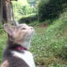 YU ME NO U E@静岡ちょうどいい田舎 profil fotoğrafı
