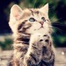 مريم العنزي..🎀 profil fotoğrafı