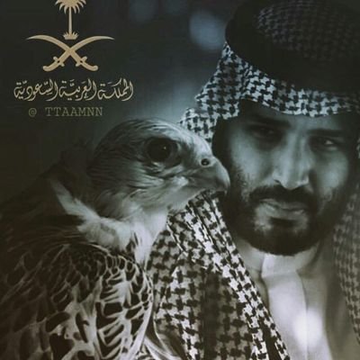 ناديه الحضيره ( برجونه )'s profile picture