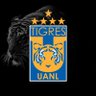 Raymundo Paez's profile picture