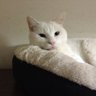 おっどハハ profil fotoğrafı