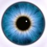 Swejzan's profile picture