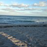 Ocean Living 的头像