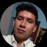 Profilbild von Hamilton Roque Cueva
