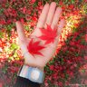 AutumnSnow 的头像