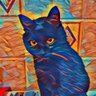 Profilbild von Vladimir.