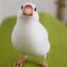 520円稼ぎました's profile picture