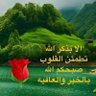 Фото профиля ابو صالح