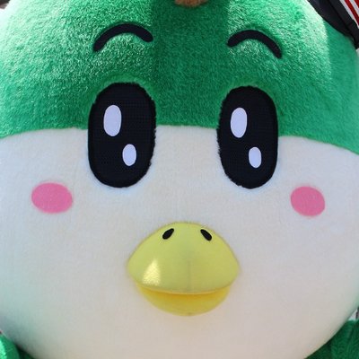 野岩鉄道【公式】's profile picture