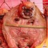 Alex's profile picture