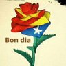 Enric Amat's profile picture