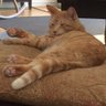 ranchopolis profil fotoğrafı