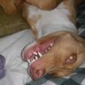 Profilbild von Raul