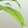 ROmemory's profile picture
