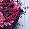 Mnoor_911 profil fotoğrafı