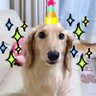 アユラ's profile picture