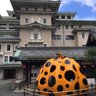 エ アロール🇯🇵国内旅行で各地の経済を助ける! 的头像