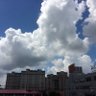 德克萨斯扒鸡 profil fotoğrafı
