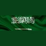 السالمي 的头像