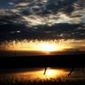 fisherman's profile picture