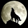 ذئب عمان's profile picture