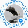 يحيــى منير's profile picture