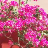 atwabjb🫙 profil fotoğrafı