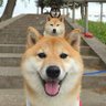 Profilbild von なつ。