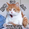 lanzer 的头像