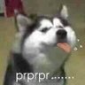 Profilbild von 十七