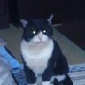 黒木 新吾(新ちゃん) profil fotoğrafı