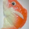 くっくろびん's profile picture