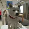 masakazuhukuda 的头像