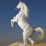 Фото профиля ابو سلمان
