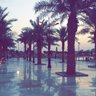 عبير. profil fotoğrafı
