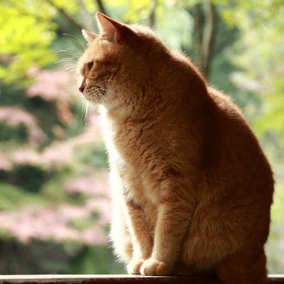 EOS5Dfreelife's profile picture