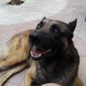 Coconats profil fotoğrafı